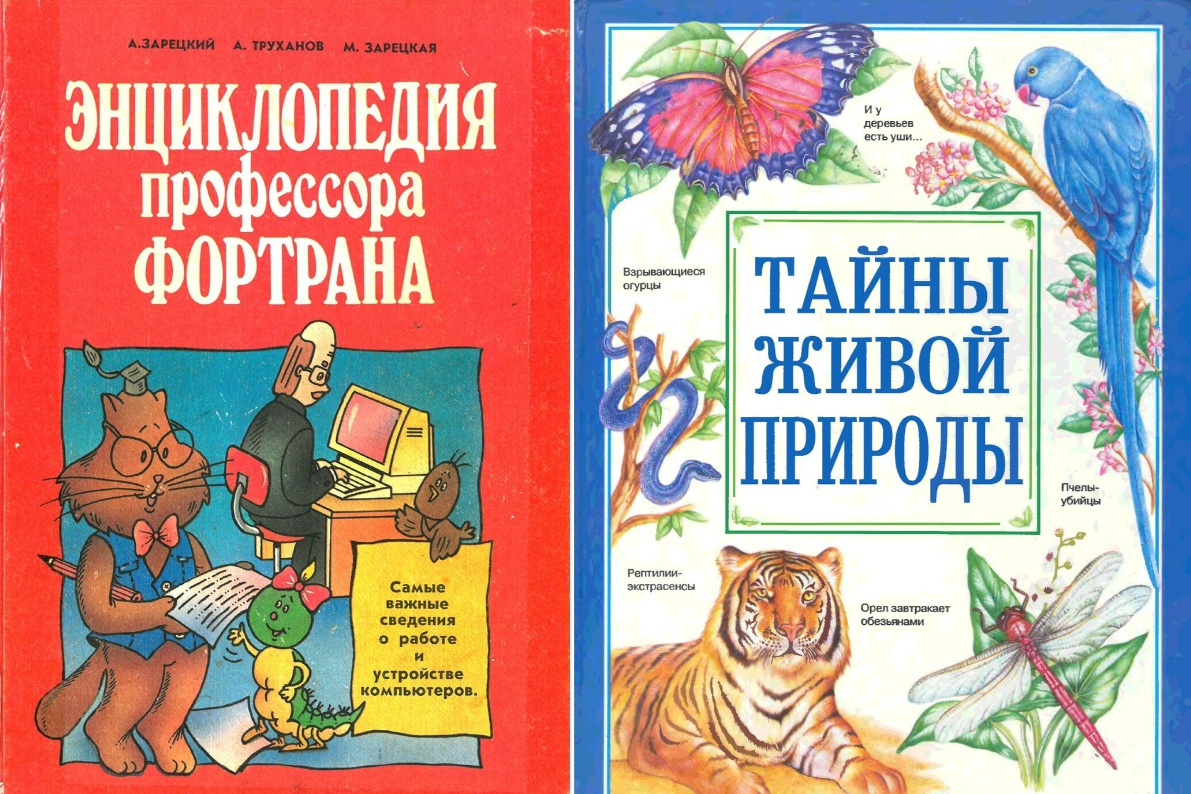 Артефакты с балкона: о чём говорят забытые вещи - 85